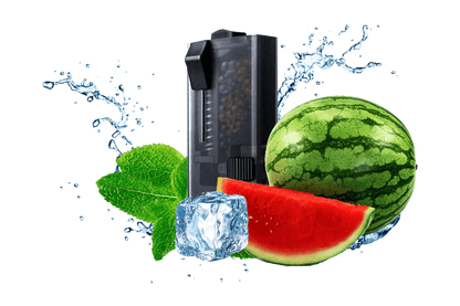 watermelon-ice-dispenser